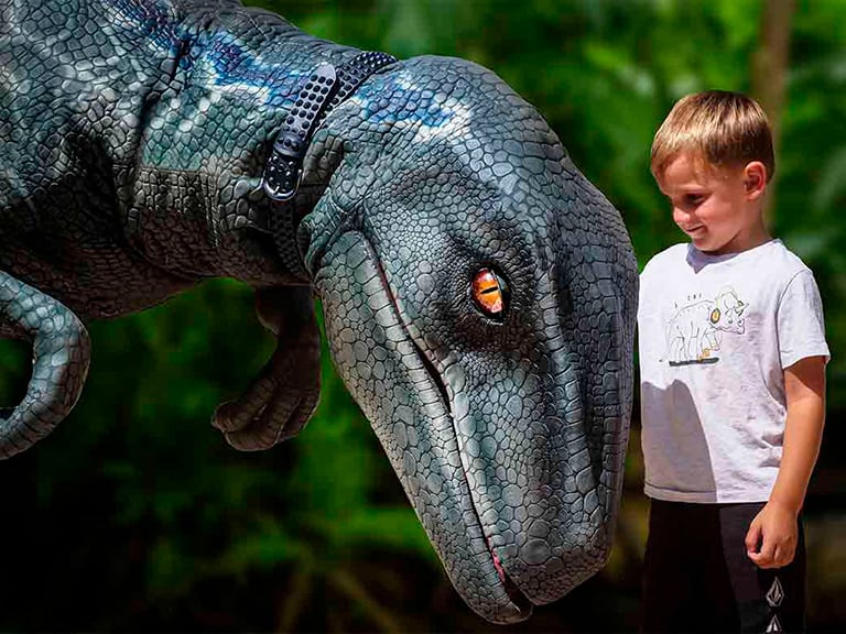 Dinosaurland y Cuevas Hams | 