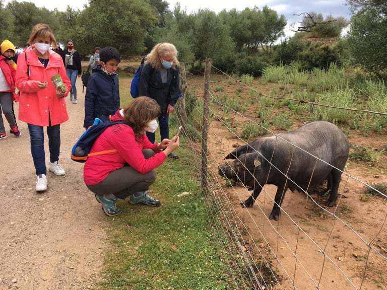 ruta des talaiots | 