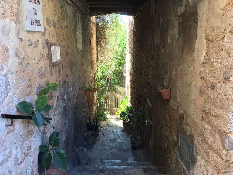 free tour valldemossa | 