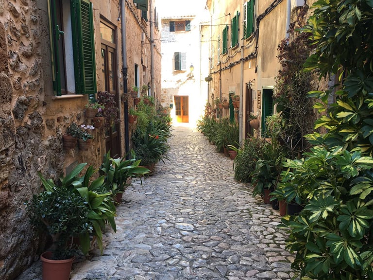 free tour valldemossa | 