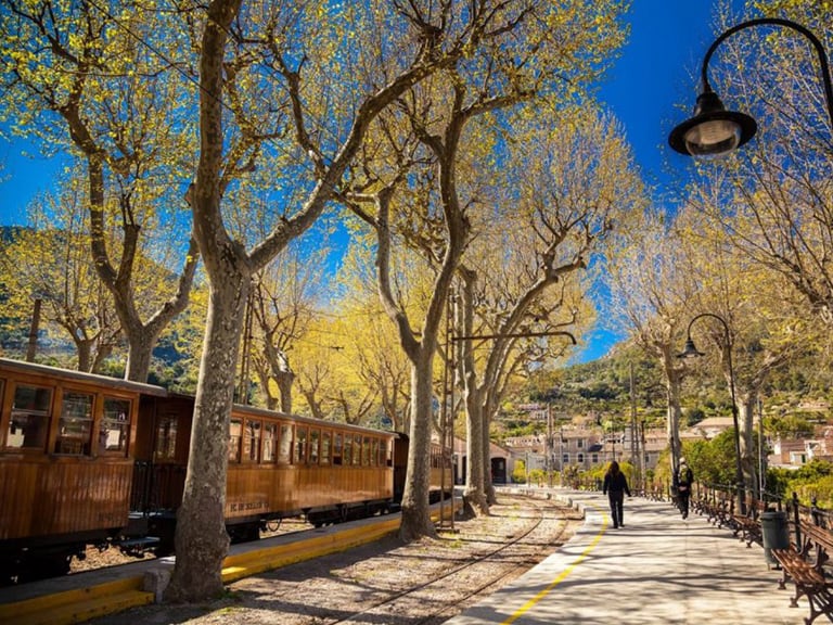 tour tren soller | 
