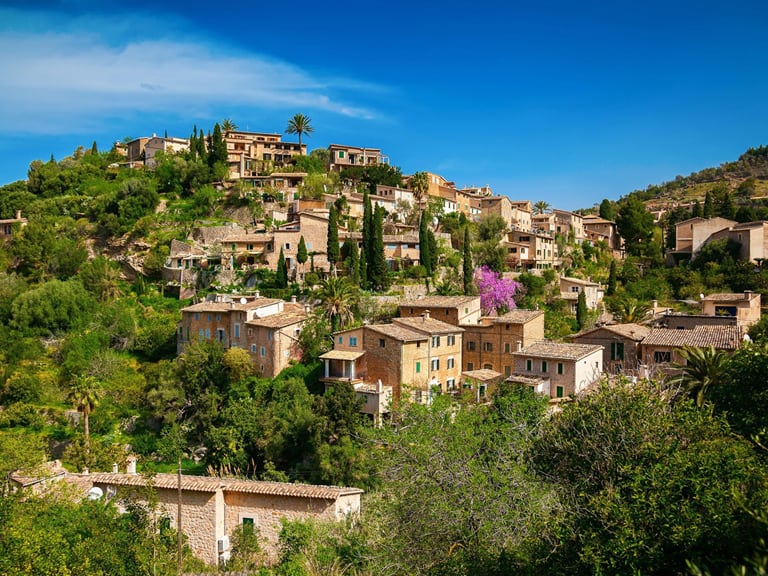 tour valldemossa formentor | 