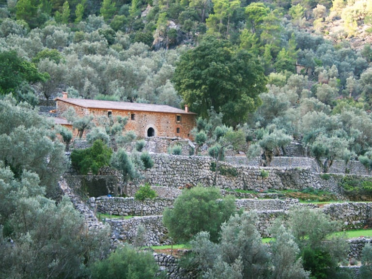 tour valldemossa formentor | 