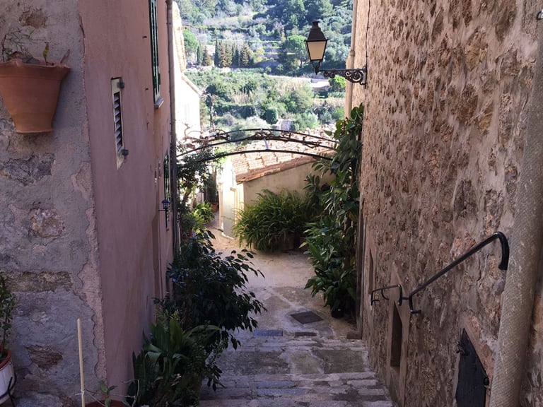 tour valldemossa formentor | 